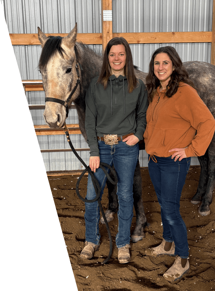 Accountants for veterinary and agriculture businesses in Canada